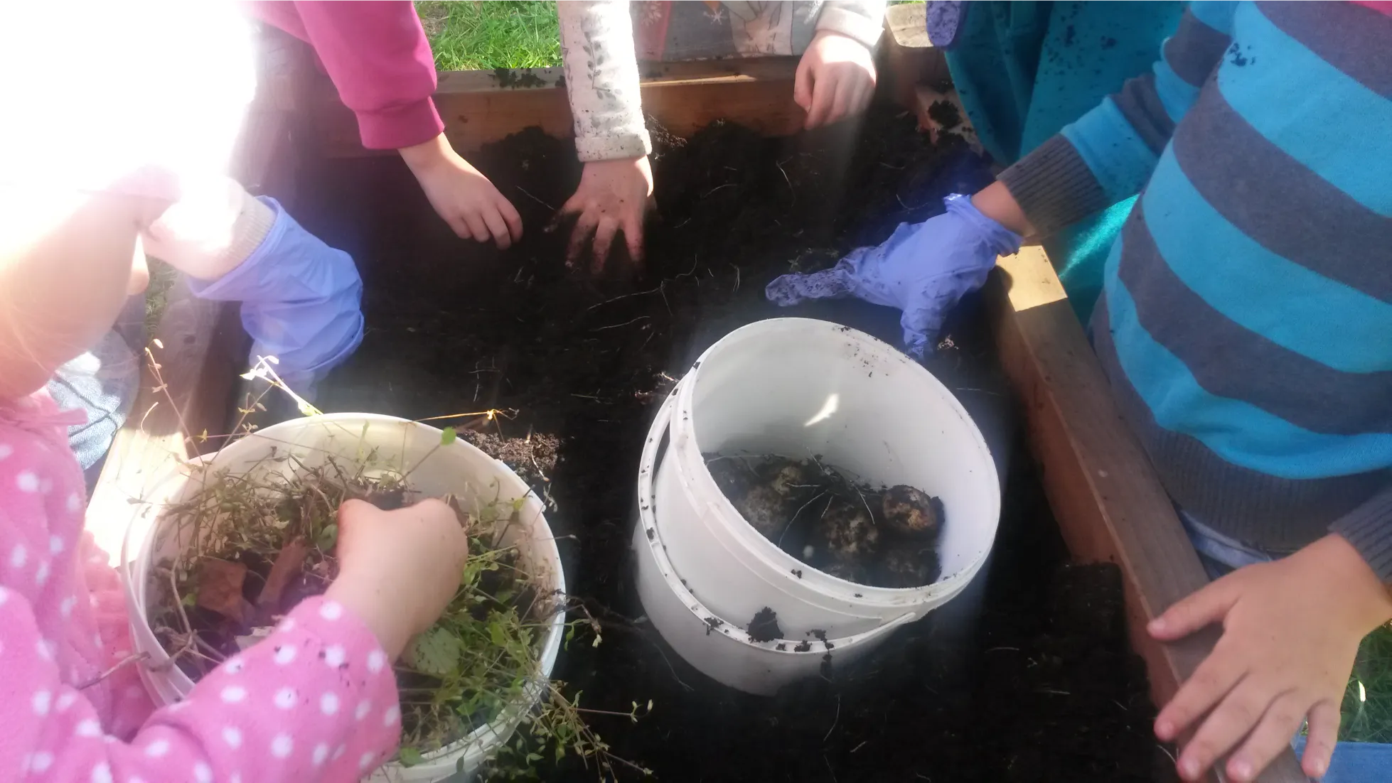 Read more about the article TAKE ME OUT WEEK CHALLENGE ON APRIL 20 – 24, 2026 & NOVEMBER 9 – 13, 2026